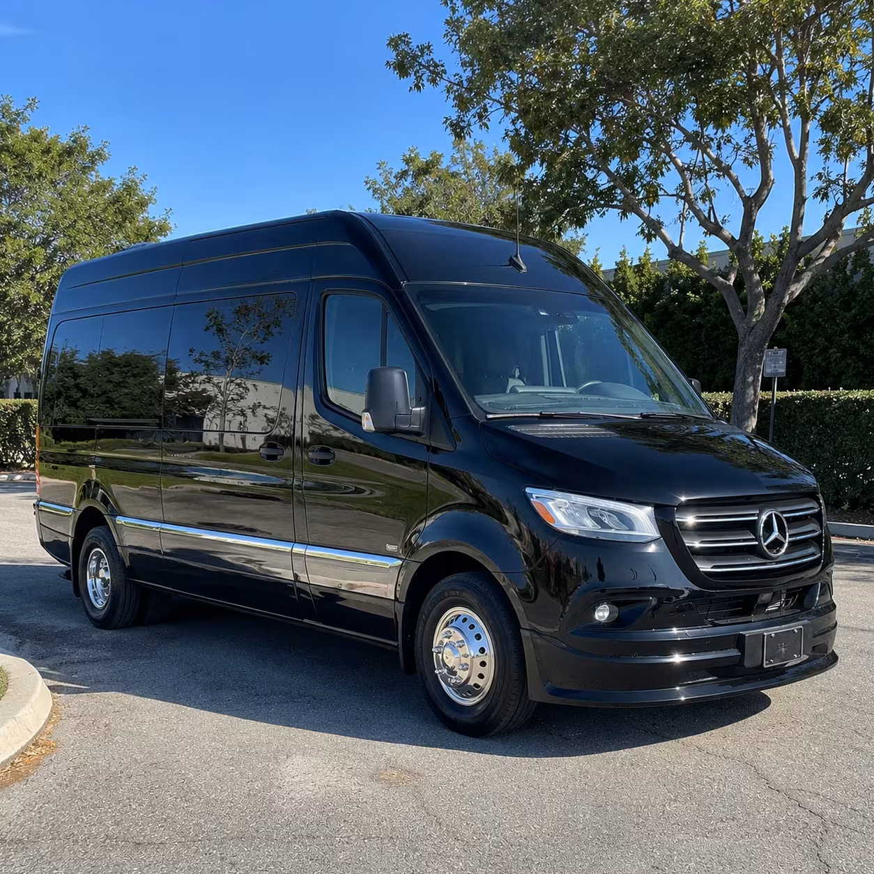 rancho palos verdes sprinter van rental with driver